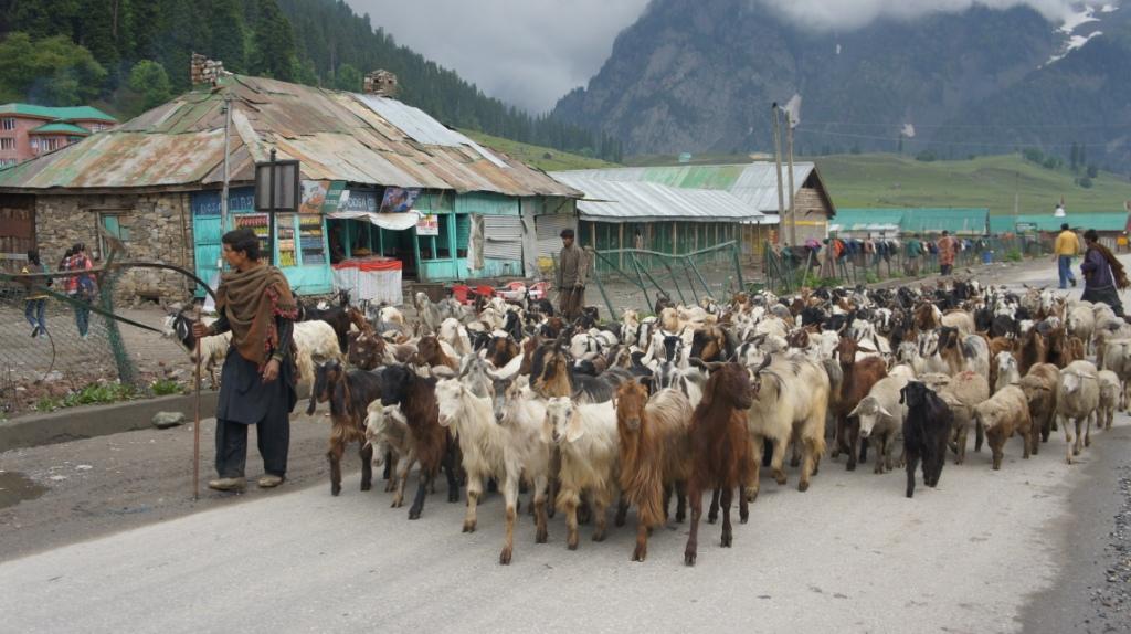 Glimpses of Research Activities