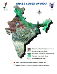 Classification of Indian Grasslands