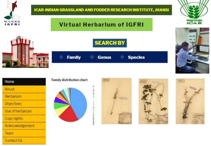 Virtual Herbarium of IGFRI