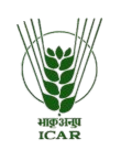 ICAR Logo
