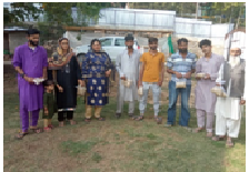 Dactylis grass in the fruit orchard