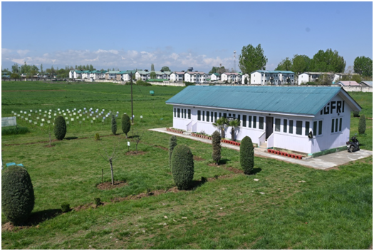 Srinagar Station Image